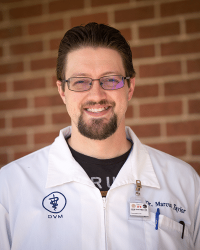 Dr. Marcus